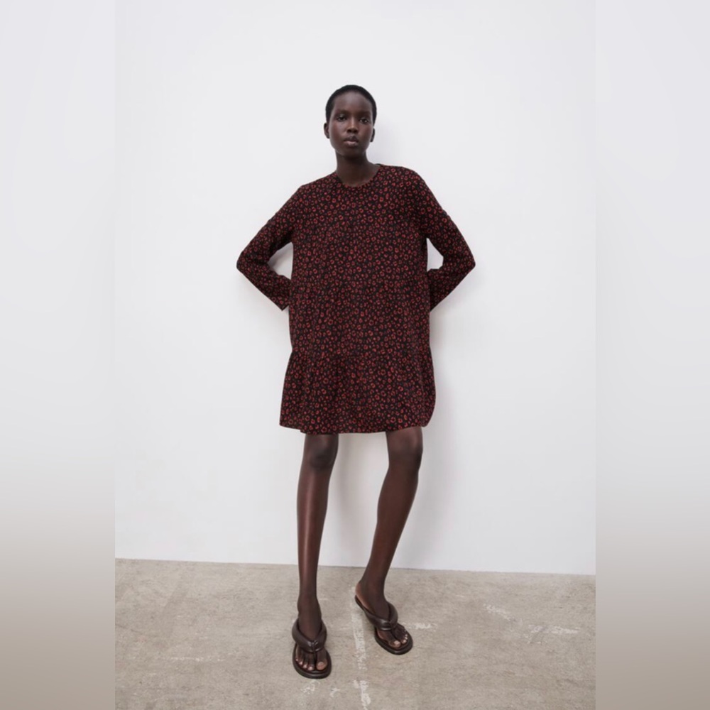Zara dress
